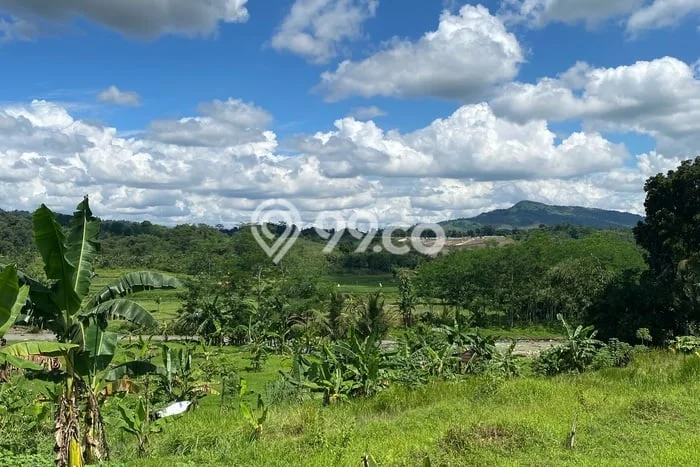 Tanah Dijual Lokasi Sukamakmur, Bogor Luas 3434m2 Legalitas Aman Tanah Dijual Lokasi Sukamakmur, Bogor Luas 3434m2 Legalitas Aman