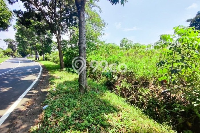 Tanah di Babakan Madang, Bogor Luas 23000m2 Dijual Segera Tanah di Babakan Madang, Bogor Luas 23000m2 Dijual Segera