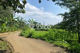 Kavling Tanah Dijual di Cijeruk Bogor Spesifikasi 5800m2 Kavling Tanah Dijual di Cijeruk Bogor Spesifikasi 5800m2