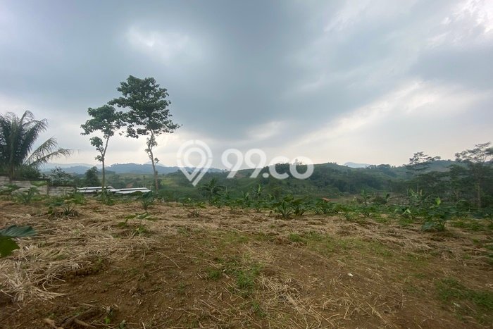 Lahan Kosong Dijual di Bogor dengan Area 5900m2 Lahan Kosong Dijual di Bogor dengan Area 5900m2