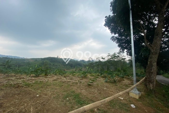 Lahan Kosong Dijual di Bogor dengan Area 5900m2 Lahan Kosong Dijual di Bogor dengan Area 5900m2