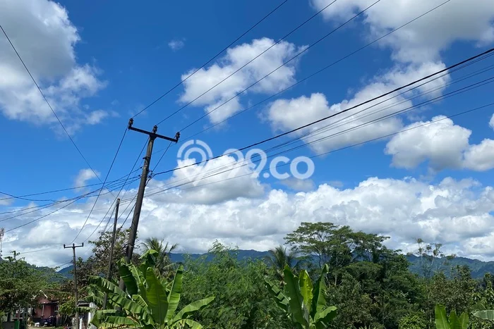 Tanah Dijual Lokasi Sukamakmur, Bogor Luas 3434m2 Legalitas Aman Tanah Dijual Lokasi Sukamakmur, Bogor Luas 3434m2 Legalitas Aman