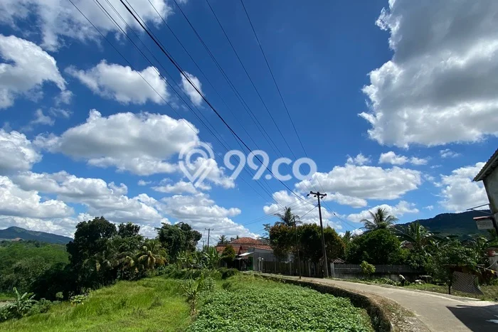 Tanah Dijual Lokasi Sukamakmur, Bogor Luas 3434m2 Legalitas Aman Tanah Dijual Lokasi Sukamakmur, Bogor Luas 3434m2 Legalitas Aman