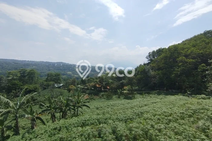 Tanah Kavling Dijual di Bogor dengan Spesifikasi 4000m2 Tanah Kavling Dijual di Bogor dengan Spesifikasi 4000m2