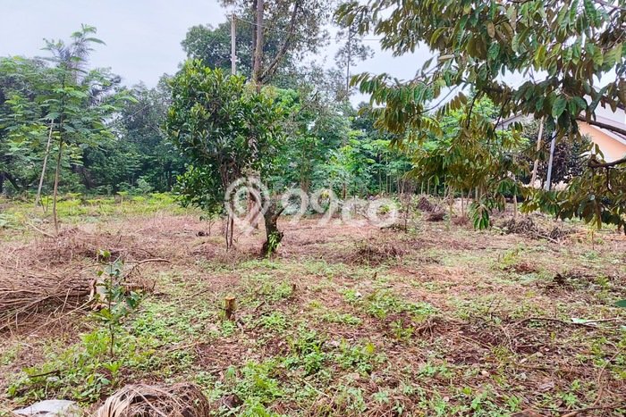 Kavling Tanah Dijual di Citeureup Bogor Spesifikasi 9000m2 Kavling Tanah Dijual di Citeureup Bogor Spesifikasi 9000m2