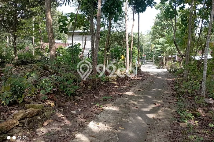 Lahan Investasi Lokasi Sedayu Bantul SHM Lahan Investasi Lokasi Sedayu Bantul SHM