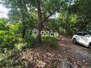 Tanah Komersial Dijual di Prambanan Sleman 2549m2 Tanah Komersial Dijual di Prambanan Sleman 2549m2
