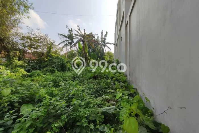 Tanah Dijual Lokasi Depok, Sleman dengan Luas Tanah 491m2 dan Status SHM Tanah Dijual Lokasi Depok, Sleman dengan Luas Tanah 491m2 dan Status SHM