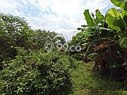 Lahan Kosong Dijual di Sleman dengan Area 1078m2 Lahan Kosong Dijual di Sleman dengan Area 1078m2