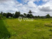 Tanah Dijual Lokasi Mlati, Sleman Luas 1143m2 Legalitas Aman Tanah Dijual Lokasi Mlati, Sleman Luas 1143m2 Legalitas Aman