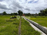 Tanah Dijual Lokasi Mlati, Sleman Luas 1143m2 Legalitas Aman Tanah Dijual Lokasi Mlati, Sleman Luas 1143m2 Legalitas Aman