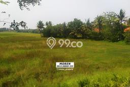 Tanah Dijual Lokasi Kronjo, Tangerang dengan Luas Tanah 200000m2 dan Status - Tanah Dijual Lokasi Kronjo, Tangerang dengan Luas Tanah 200000m2 dan Status -