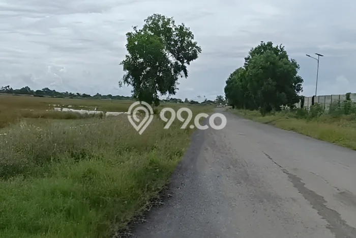 Tanah Kosong Dijual di Subang dengan Area 540000m2 Tanah Kosong Dijual di Subang dengan Area 540000m2