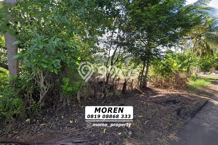 Tanah Kavling untuk Dijual di Pagelaran Pandeglang 50000m2 Tanah Kavling untuk Dijual di Pagelaran Pandeglang 50000m2