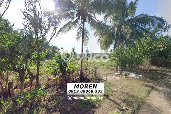 Tanah Kavling untuk Dijual di Pagelaran Pandeglang 50000m2 Tanah Kavling untuk Dijual di Pagelaran Pandeglang 50000m2