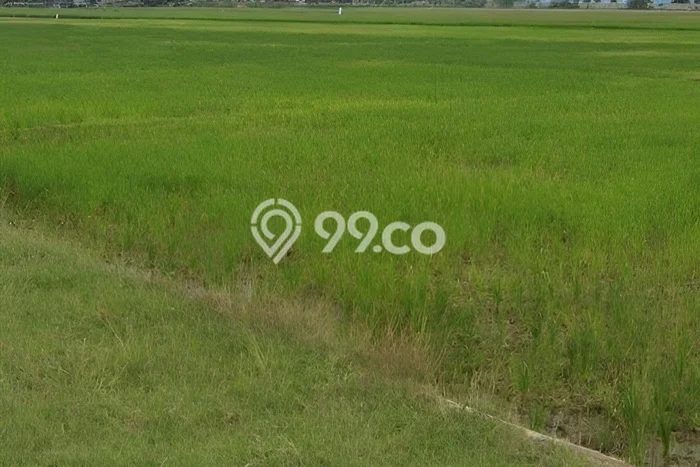 Tanah di Pusakanagara, Subang Luas 1e+06m2 Dijual Segera Tanah di Pusakanagara, Subang Luas 1e+06m2 Dijual Segera