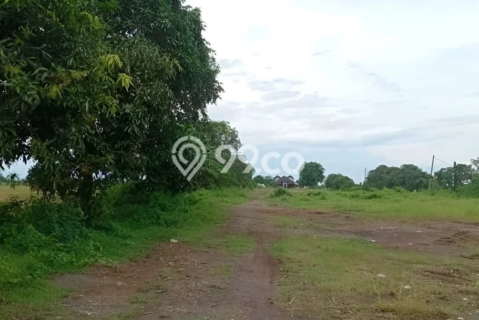Lahan Kosong Dijual di Patrol, Indramayu, Luas 3e+06m2 Area Strategis Lahan Kosong Dijual di Patrol, Indramayu, Luas 3e+06m2 Area Strategis