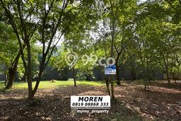 Untuk Dijual Tanah 544m2 di Pantai Indah Kapuk, Jakarta Utara Untuk Dijual Tanah 544m2 di Pantai Indah Kapuk, Jakarta Utara