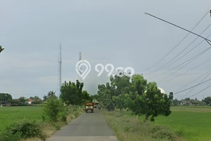Tanah di Pusakanagara, Subang Luas 1e+06m2 Dijual Segera Tanah di Pusakanagara, Subang Luas 1e+06m2 Dijual Segera