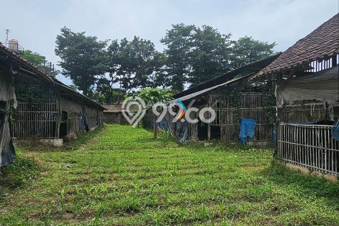 Tanah Dijual Lokasi Wajak, Malang dengan Luas Tanah 4640m2 dan Status SHM Tanah Dijual Lokasi Wajak, Malang dengan Luas Tanah 4640m2 dan Status SHM