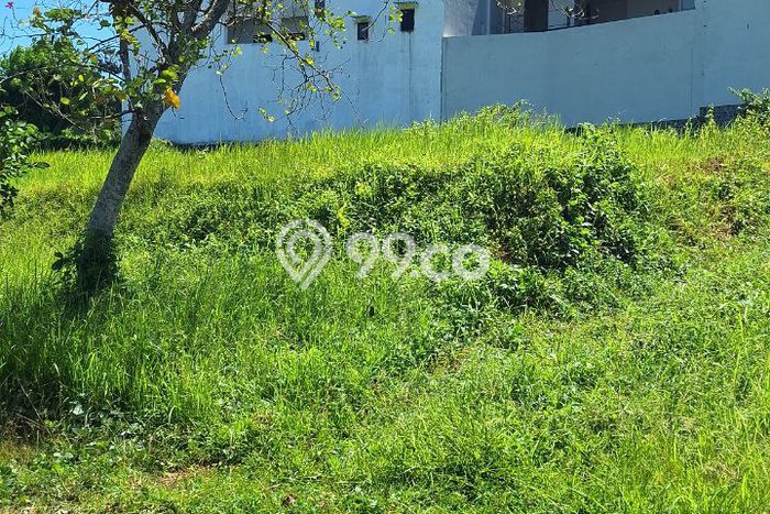 Tanah Siap Bangun Dijual di Malang Punya Luas 659m2 Tanah Siap Bangun Dijual di Malang Punya Luas 659m2