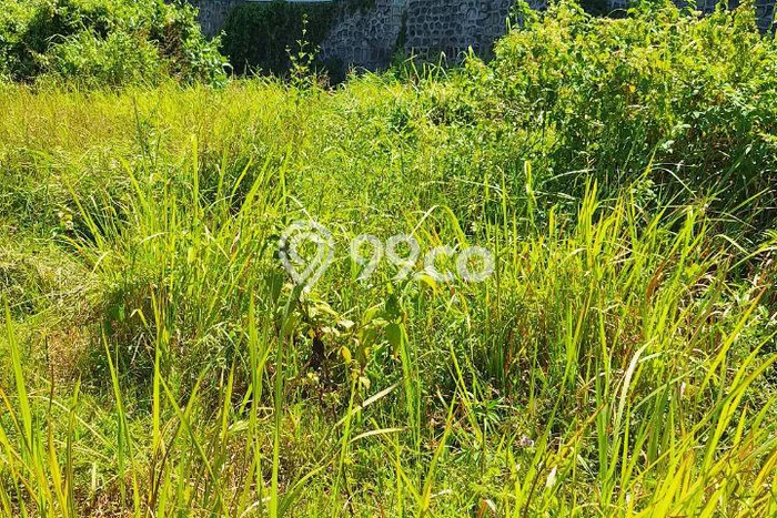Tanah Siap Bangun Dijual di Malang Punya Luas 659m2 Tanah Siap Bangun Dijual di Malang Punya Luas 659m2