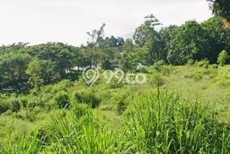 Dijual Tanah di Pandaan Pasuruan Luas 25000m2 SHM Dijual Tanah di Pandaan Pasuruan Luas 25000m2 SHM
