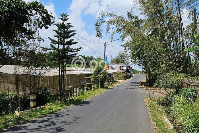 Tanah Dijual Lokasi Dau Malang SHM Tanah Dijual Lokasi Dau Malang SHM