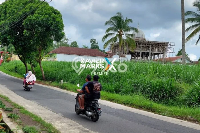 Tanah di Dampit, Malang Luas 58000m2 Dijual Segera Tanah di Dampit, Malang Luas 58000m2 Dijual Segera