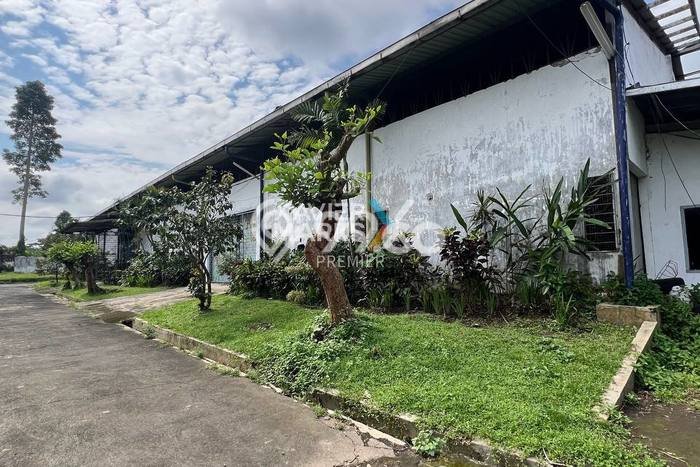 Gudang disewakan di Pakis Malang dengan luas bangunan 1200m2 Gudang disewakan di Pakis Malang dengan luas bangunan 1200m2