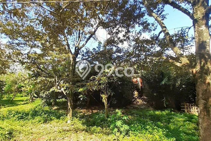 Lahan untuk Dijual Lokasi Prigen, Pasuruan Luas 5000m2 SHM Lahan untuk Dijual Lokasi Prigen, Pasuruan Luas 5000m2 SHM