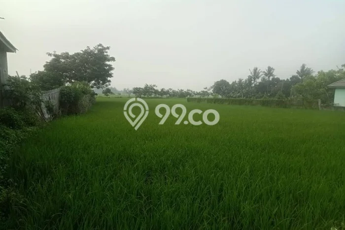Kavling Tanah di Sepatan Dijual Luas 5056m2 Legalitas - Kavling Tanah di Sepatan Dijual Luas 5056m2 Legalitas -