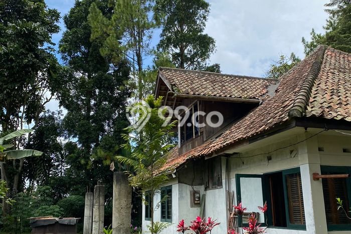 Villa dijual di Lembang, Bandung dengan taman yang luas, asri, sejuk, terawat Villa dijual di Lembang, Bandung dengan taman yang luas, asri, sejuk, terawat