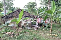 Tanah Dijual Lokasi Anyer, Anyer Luas 1509m2 Legalitas Aman Tanah Dijual Lokasi Anyer, Anyer Luas 1509m2 Legalitas Aman