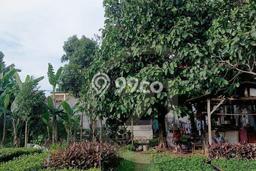 Dijual Tanah di Kembangan Jakarta Barat Luas 4550m2 SHM Dijual Tanah di Kembangan Jakarta Barat Luas 4550m2 SHM