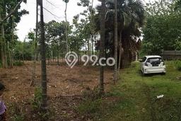 Tanah Kavling untuk Dijual di Cileungsi Bogor 141000m2 Tanah Kavling untuk Dijual di Cileungsi Bogor 141000m2