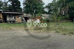 Lahan untuk Dijual di Citeureup Bogor Luas 2000m2 Lahan untuk Dijual di Citeureup Bogor Luas 2000m2