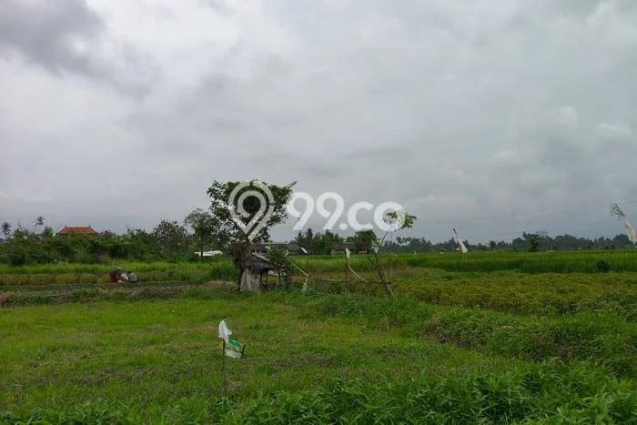 AREA PROSPEKTIF! Tanah Kawasan , Luas 100m2m², Akses Fasilitas Umum AREA PROSPEKTIF! Tanah Kawasan , Luas 100m2m², Akses Fasilitas Umum