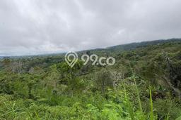 Dijual Tanah di Badung, Luas 11600m2 SHM Dijual Tanah di Badung, Luas 11600m2 SHM