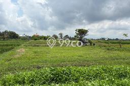 AREA PROSPEKTIF! Tanah Kawasan , Luas 100m2m², Akses Fasilitas Umum AREA PROSPEKTIF! Tanah Kawasan , Luas 100m2m², Akses Fasilitas Umum