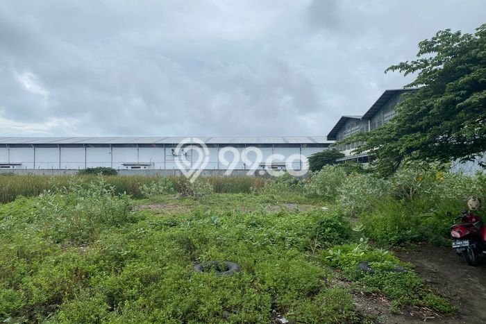 Untuk Disewa Tanah di Kosambi Luas 5000m2 SHM Untuk Disewa Tanah di Kosambi Luas 5000m2 SHM