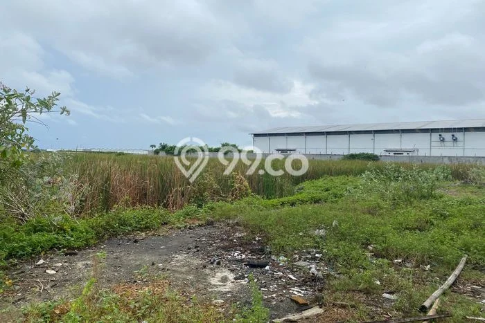 Untuk Disewa Tanah di Kosambi Luas 5000m2 SHM Untuk Disewa Tanah di Kosambi Luas 5000m2 SHM