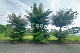 Kavling Tanah di Medan Helvetia Dijual Luas 2040m2 Legalitas SHM Kavling Tanah di Medan Helvetia Dijual Luas 2040m2 Legalitas SHM