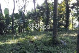 Tanah Dijual Area Strategis di Cipeundeuy Bandung 1200m2 Tanah Dijual Area Strategis di Cipeundeuy Bandung 1200m2
