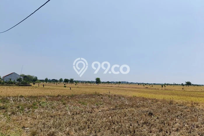 Tanah Dijual Lokasi Jatitujuh, Majalengka Luas 20000m2 Legalitas Aman Tanah Dijual Lokasi Jatitujuh, Majalengka Luas 20000m2 Legalitas Aman