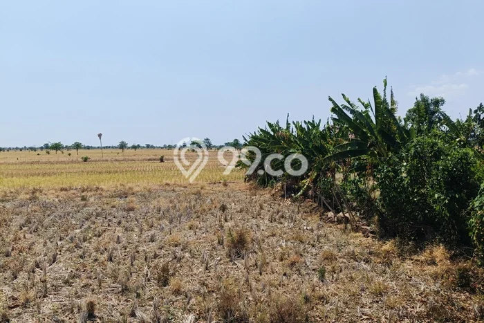 Tanah Dijual Lokasi Jatitujuh, Majalengka Luas 20000m2 Legalitas Aman Tanah Dijual Lokasi Jatitujuh, Majalengka Luas 20000m2 Legalitas Aman