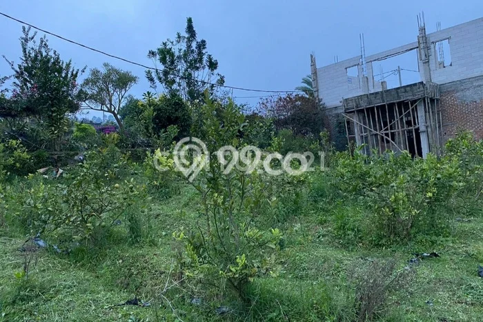 Tanah Strategis Dijual di Lembang Bandung Barat 237m2 Tanah Strategis Dijual di Lembang Bandung Barat 237m2