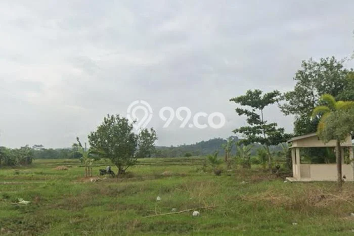 Tanah Premium di Pringsewu, Luas 23000m², Dekat Pringsewu, Pringsewu, Pringsewu Tanah Premium di Pringsewu, Luas 23000m², Dekat Pringsewu, Pringsewu, Pringsewu