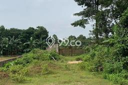 Lahan Dijual Lokasi Cikeusal, Serang dengan Luas Tanah 9013m2 dan Status SHM Lahan Dijual Lokasi Cikeusal, Serang dengan Luas Tanah 9013m2 dan Status SHM