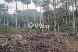Tanah Kavling untuk Dijual di Cianjur Cianjur 72730m2 Tanah Kavling untuk Dijual di Cianjur Cianjur 72730m2